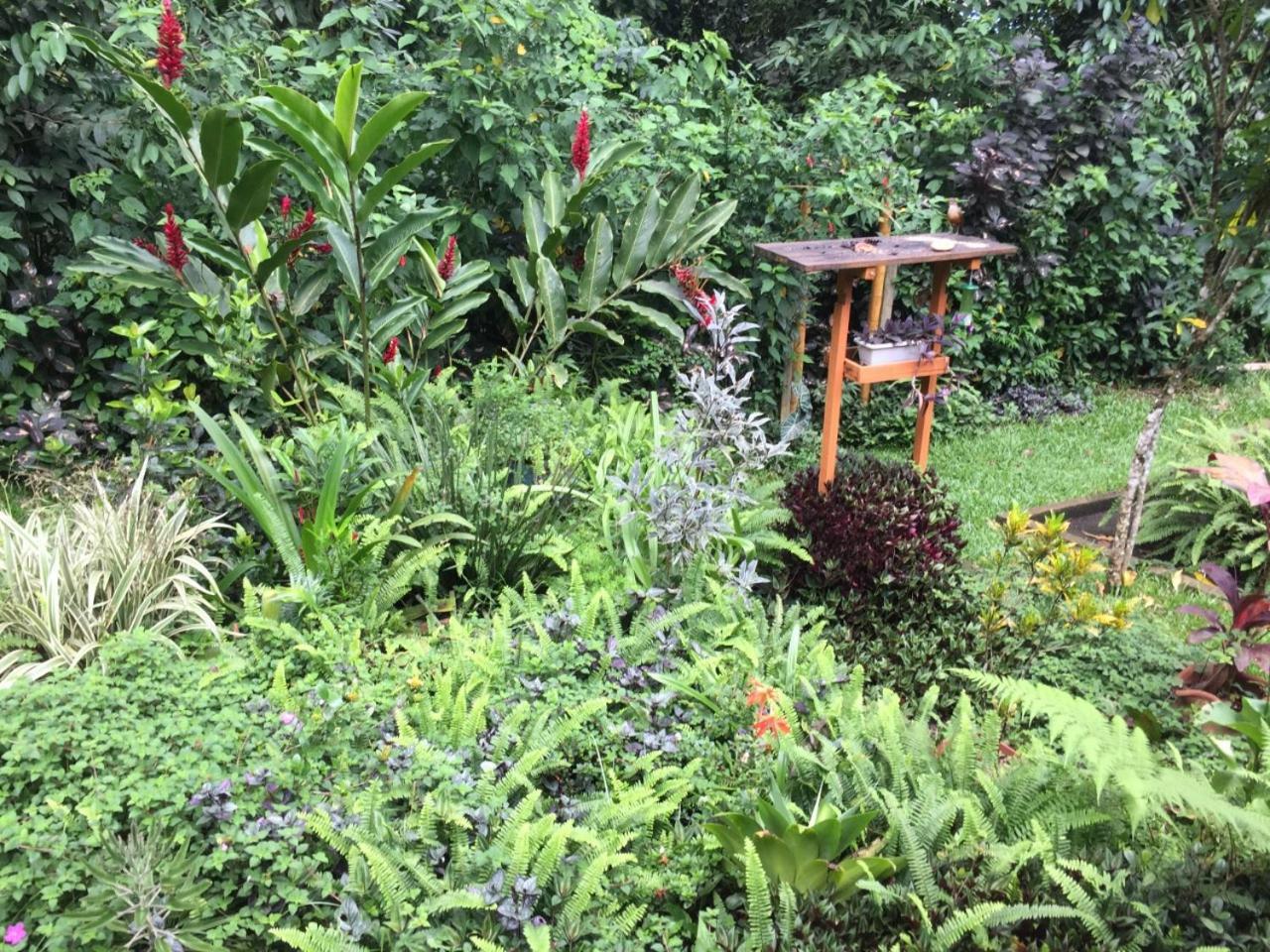 Casa Arariba - Ilha Grande - 格兰德岛 外观 照片