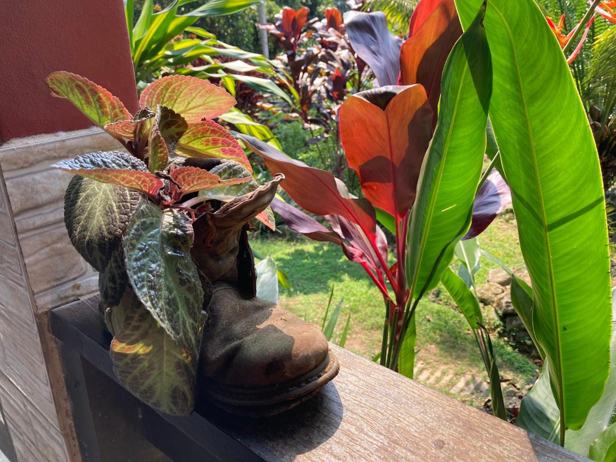 Casa Arariba - Ilha Grande - 格兰德岛 外观 照片