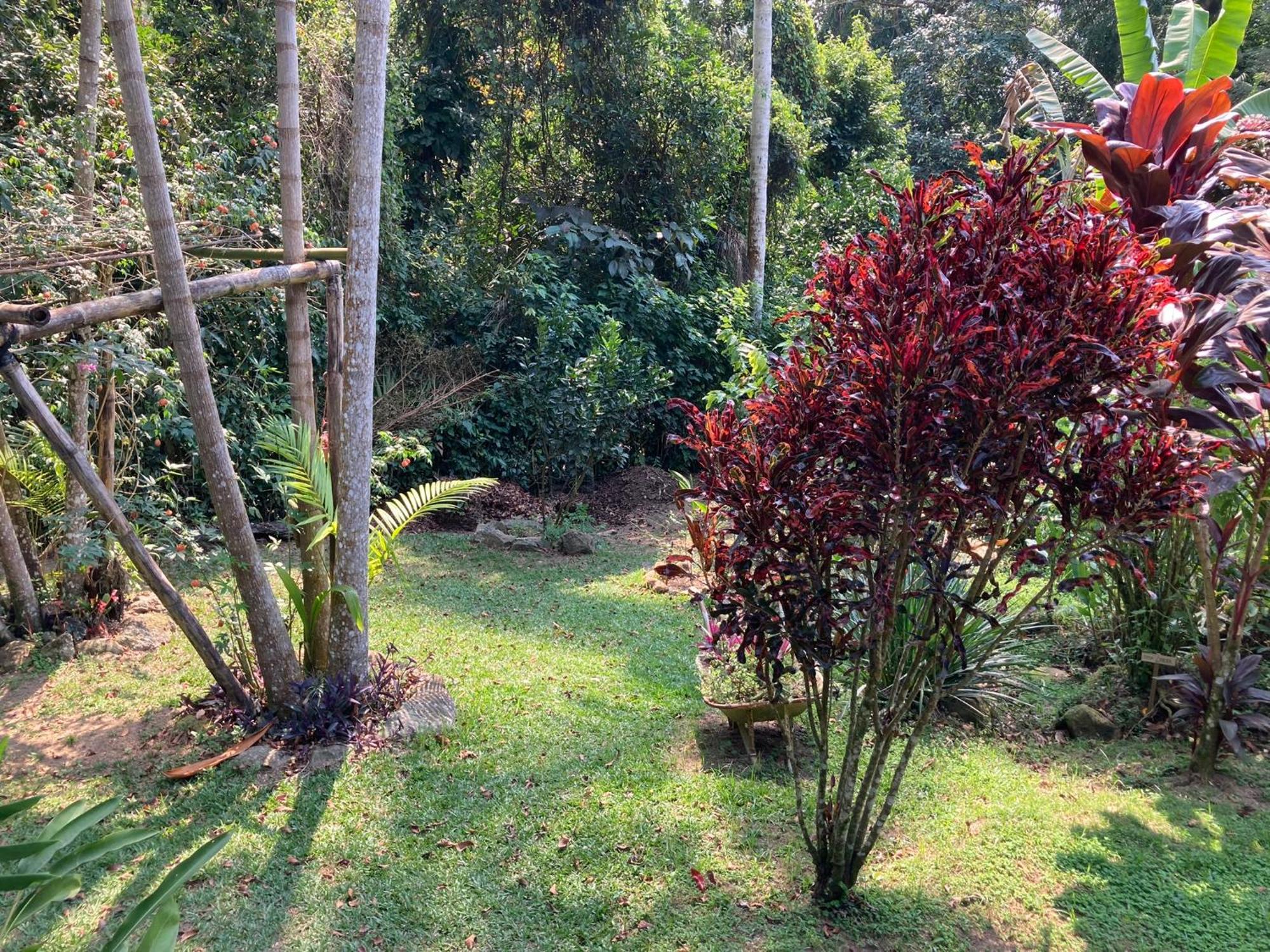 Casa Arariba - Ilha Grande - 格兰德岛 外观 照片