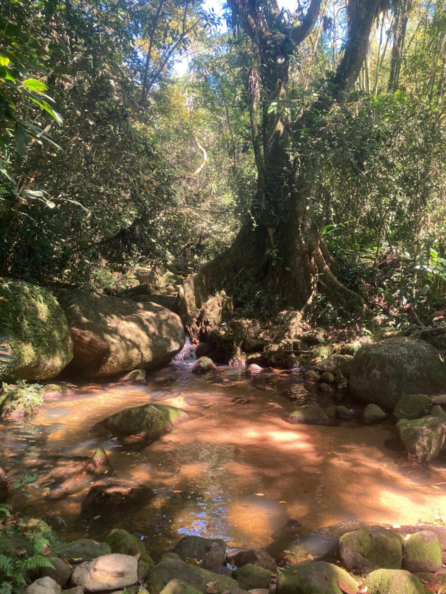Casa Arariba - Ilha Grande - 格兰德岛 外观 照片
